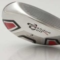 Ashdon BlackSilver Hybrids